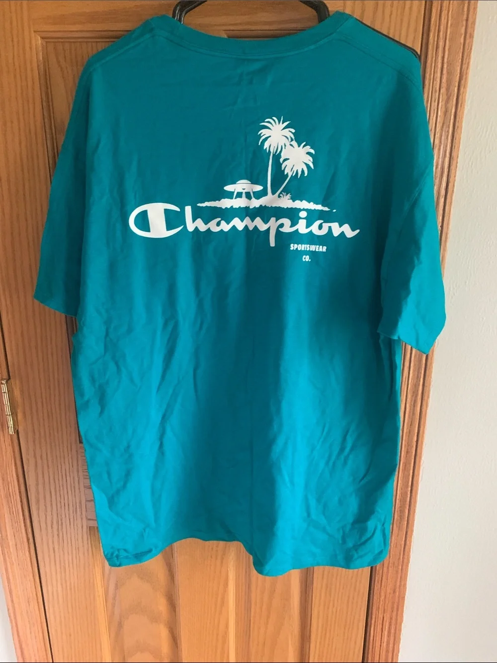 Champion Jungle Mint Classic Graphic Tee with White Logo - Picture 4 of 4